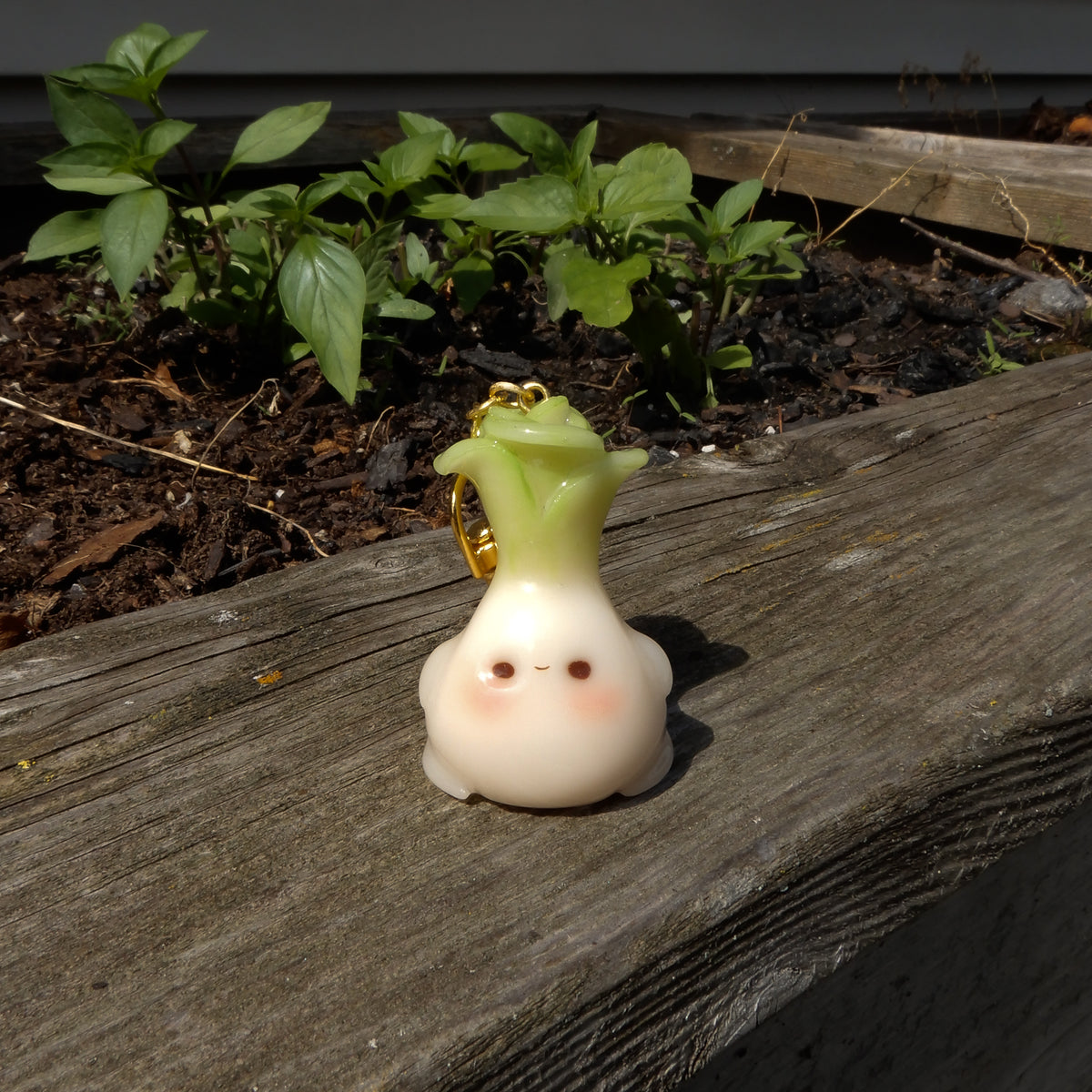 Beau the Bok Choy