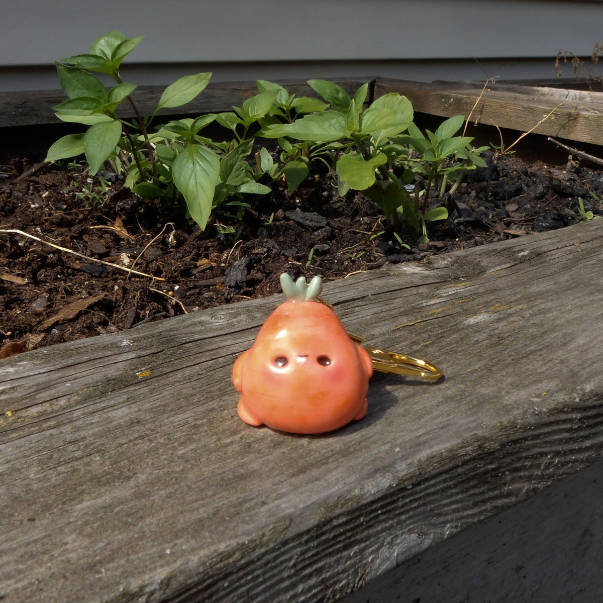 Caaron the Carrot
