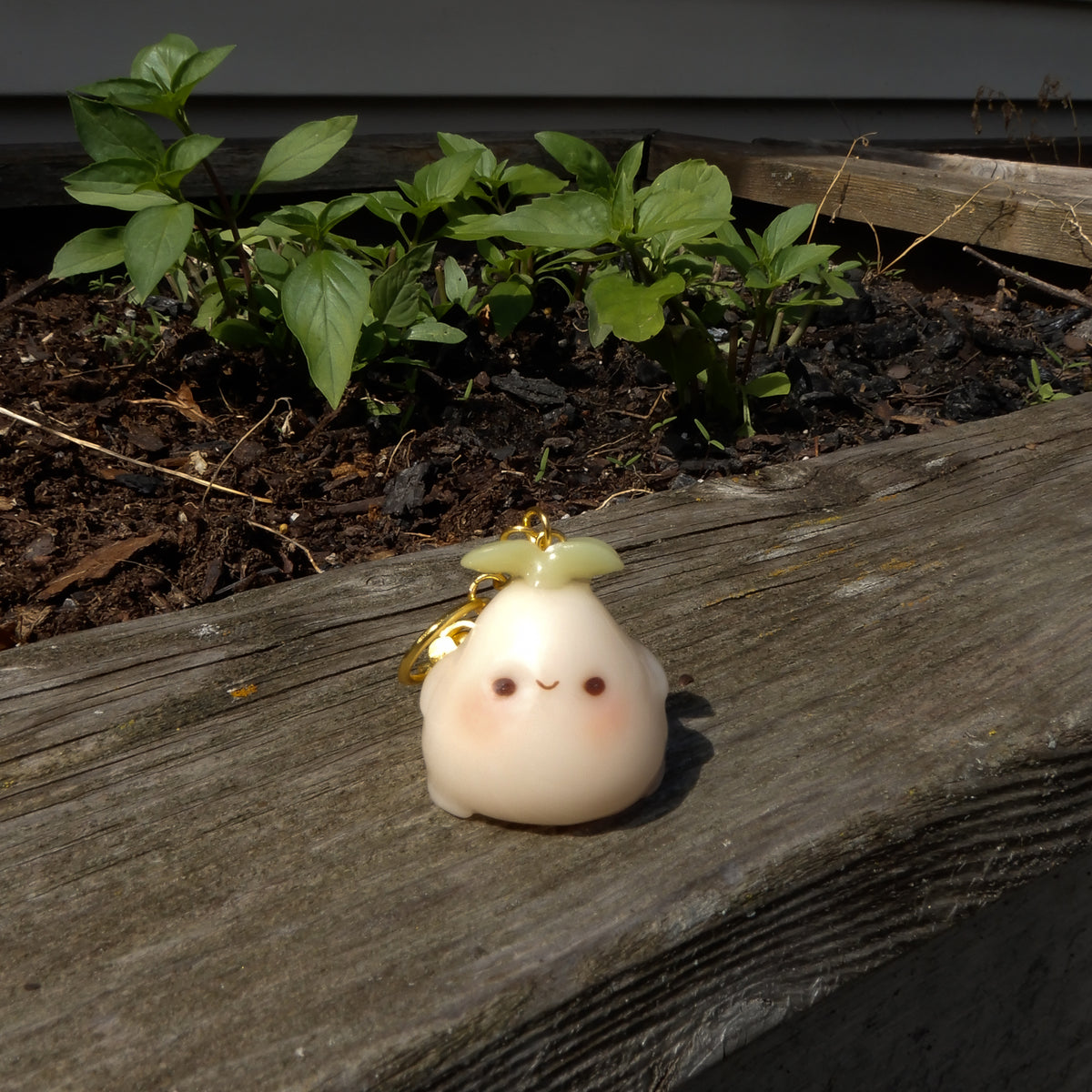 Sage the Sprout
