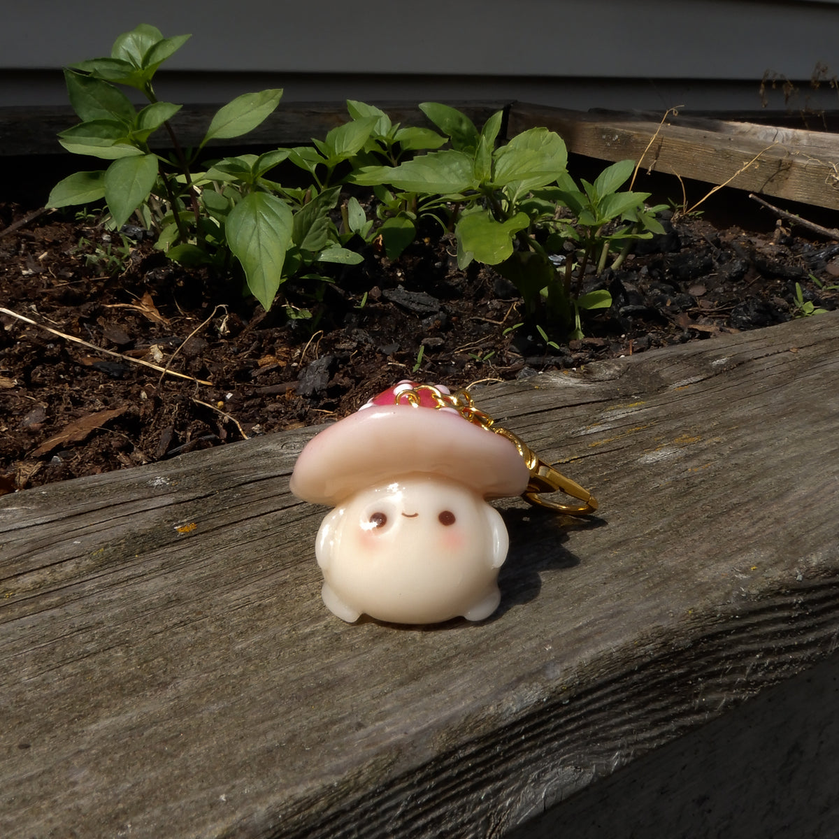 Mr. Fun-guy the Mushroom
